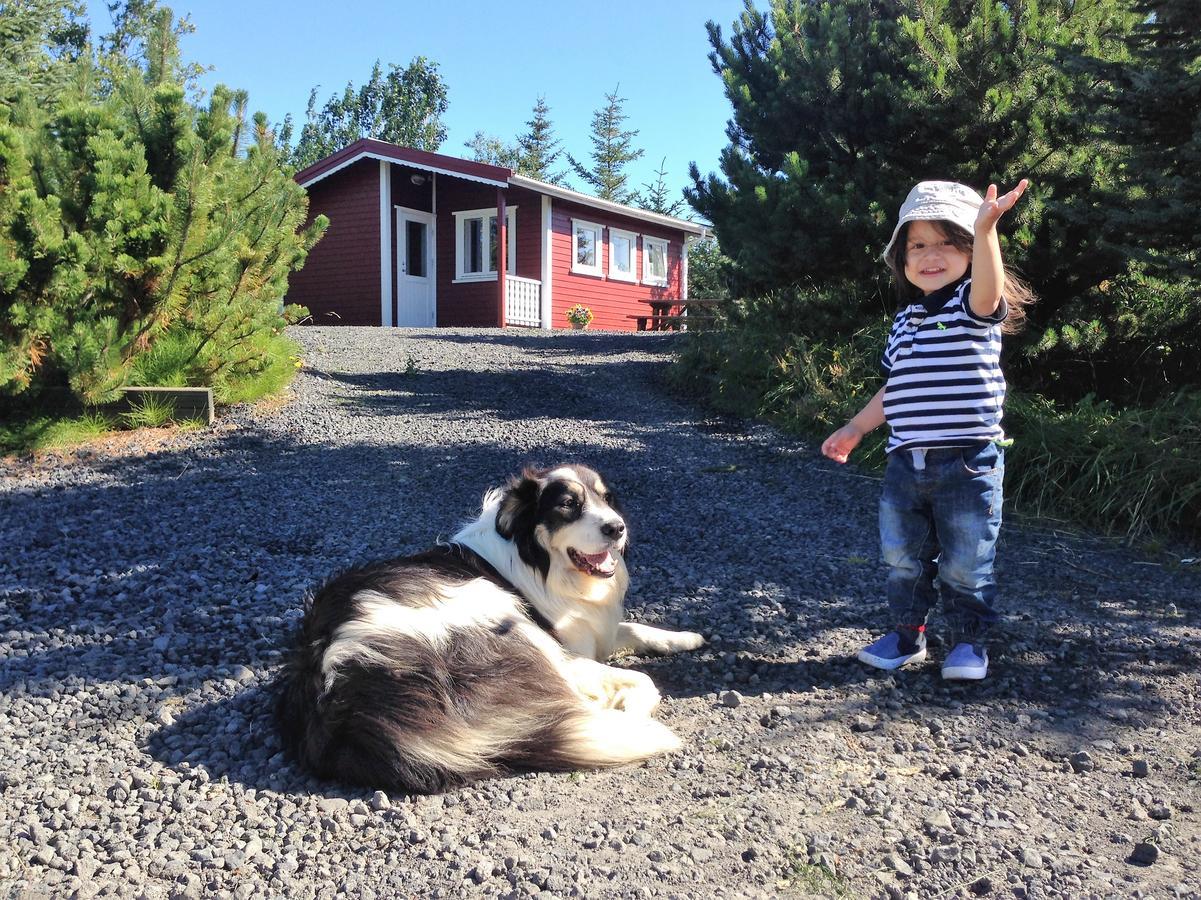 Klara'S Farm Holidays Hella Luaran gambar