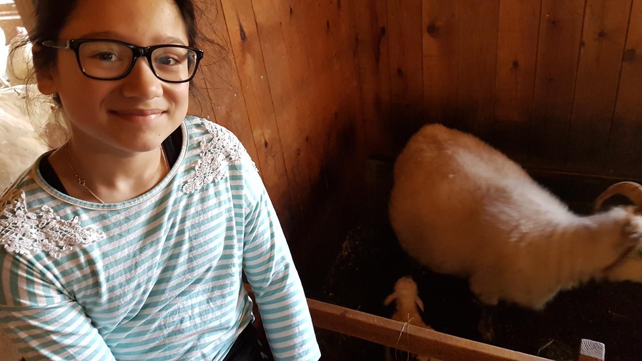 Klara'S Farm Holidays Hella Luaran gambar